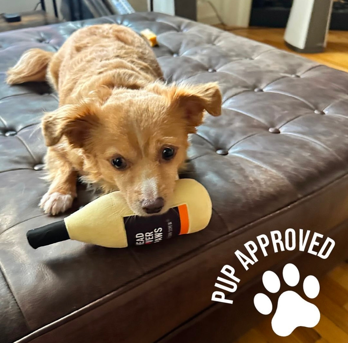 A happy dog playing with the Head Over Paws wine-bottle pup toy: pup approved